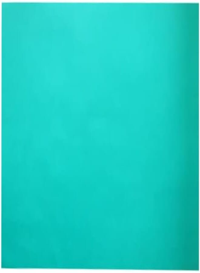 PARIS EMBOSSED PAPER 100 × 70 CM 150 GM GREEN